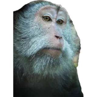 😶