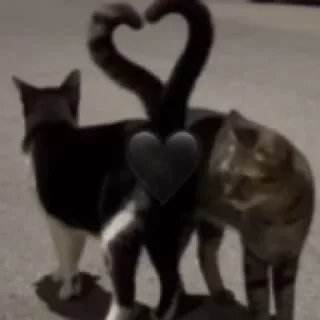 🫶