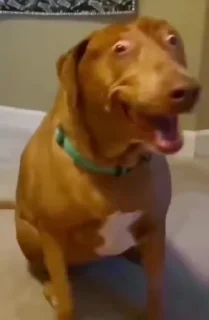 😳