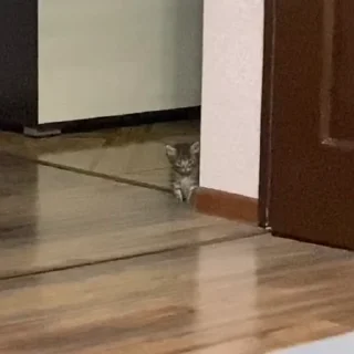 🥺