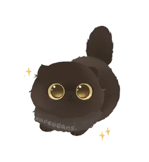 🌟