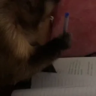 ✍️