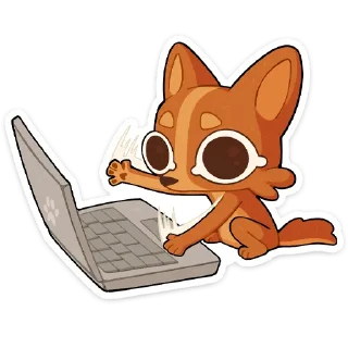 💻