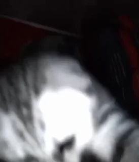 💤