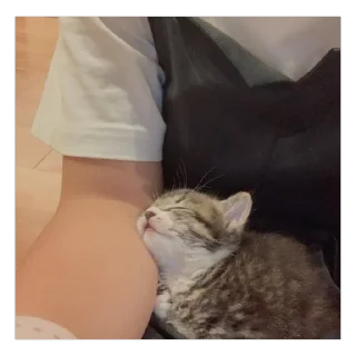 🥰