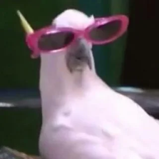 😎