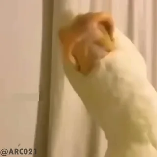 🤔