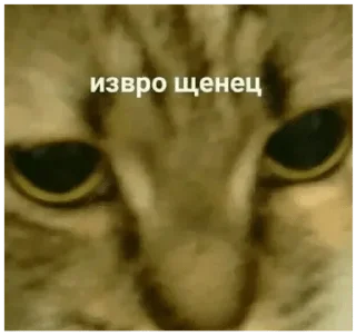 😑