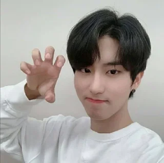 😸