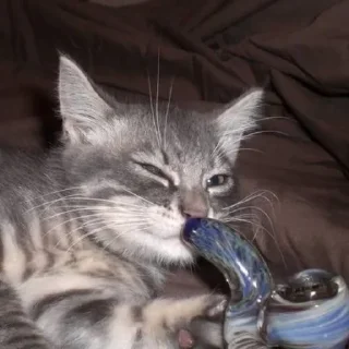 💨