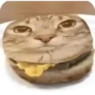 🍔