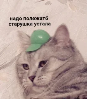 👵