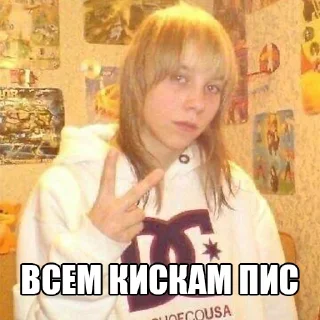 ✌