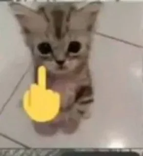 ❤️