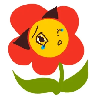 😿