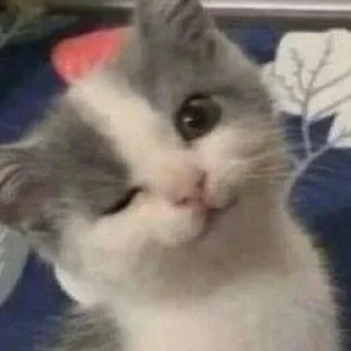🤯