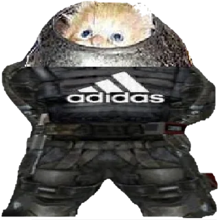😼