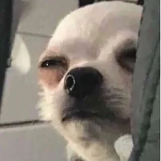😑