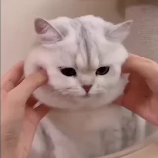 😏