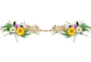 🌼