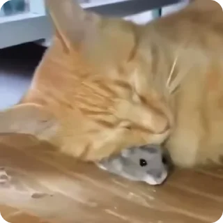🐭