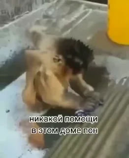 🧼