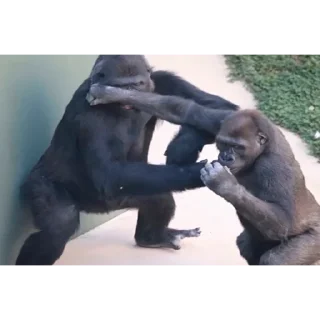👊