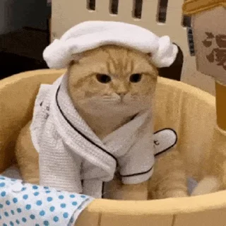 ♨️