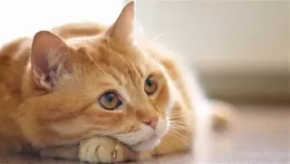 😙