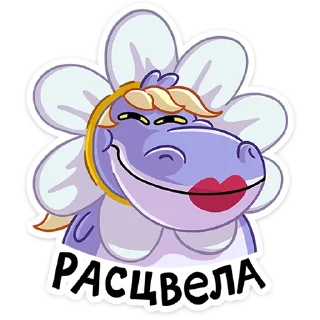 🌸