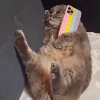 📞