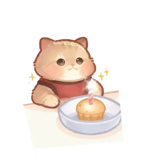 🌟