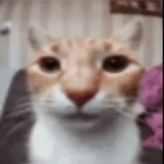 😦