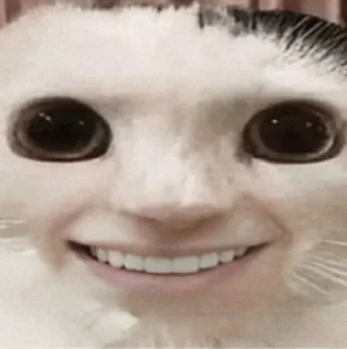 😀