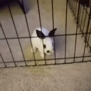😛