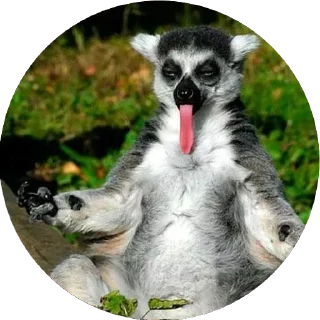 😝