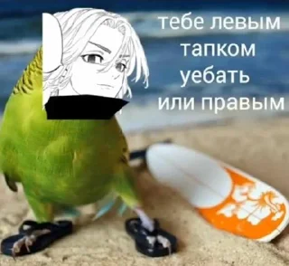 😪