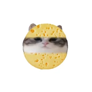 🧀