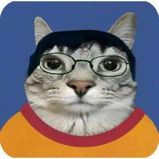 🐱