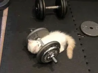 💪