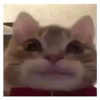 😬