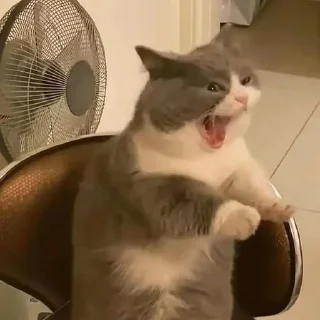 🥱