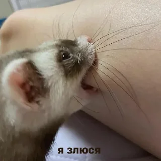 😠