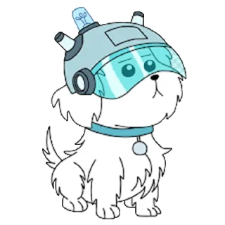 🐶