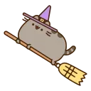 😸