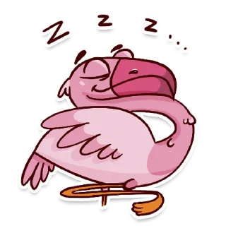 🦩
