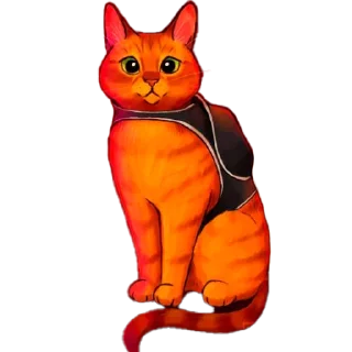 🐱