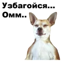 ☝