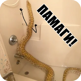 🤗