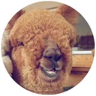 😃